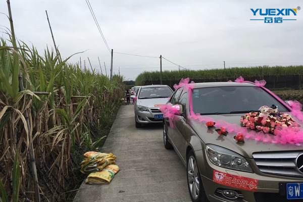 岳信土豪結(jié)婚-婚車